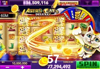 Sistemas de Segurança e57